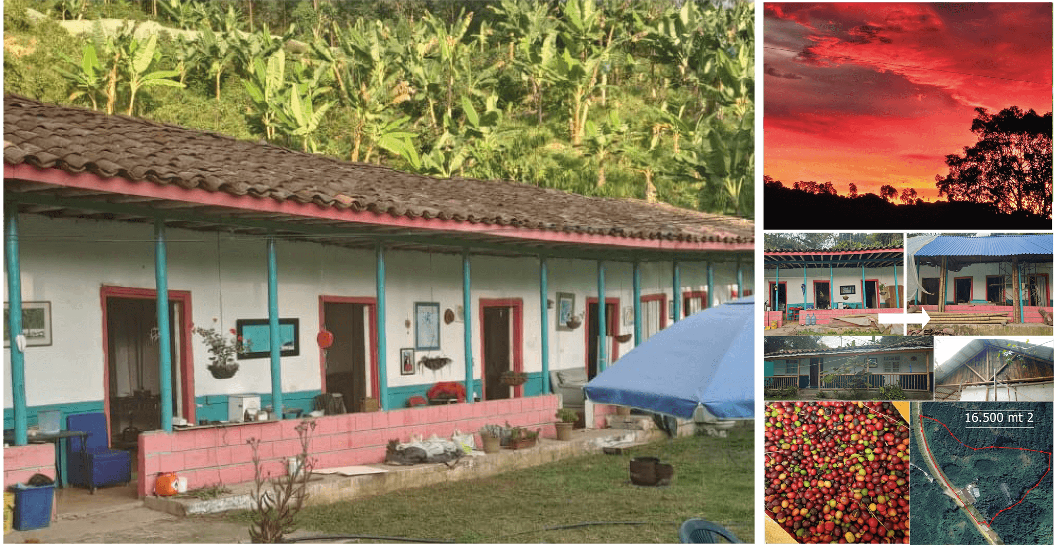 Finca Cafetera con Casa Colonial y Producción de Frutas, Cafe y Plátano
